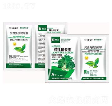 �~�˶�S�������L(zh��ng)��+��