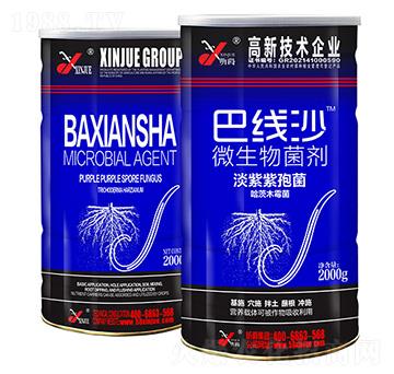 ΢�������-�;�ɳ-�