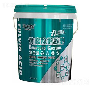 �S������Ч�͏ͺϾ�-�ַ�ɭ-���������