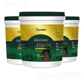 �����S�~(y��)����-��˹��-����ʘI(y��)