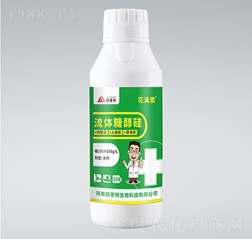 ���w�Ǵ���-���M��-������