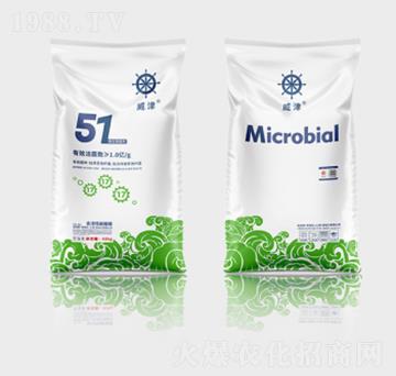 ����ɭ΢�������51��