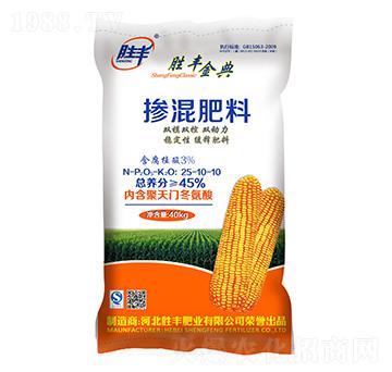 �pģ�p�ؓ������25-10-10-���S���-���S�ʘI(y��)