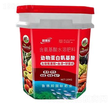 ��(d��ng)�ﵰ�װ�����-��?sh��)°? />
                                </div>
                            </div>
                            
                            <style type=