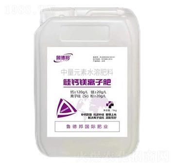 ���}�V�x�ӷ�-��?sh��)°? />
                                </div>
                            </div>
                            
                            <style type=