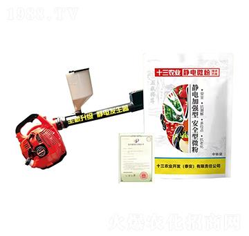 ʮ���r�I(y��)�o�΢��-ʮ���r�I(y��)