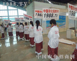 ��С��ꖡ�����2012�ھŌ����ݷ��ϕ�